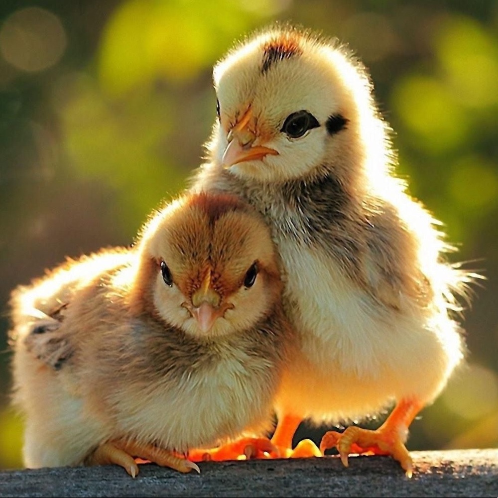 ♡︎Welcome to my closet♡︎